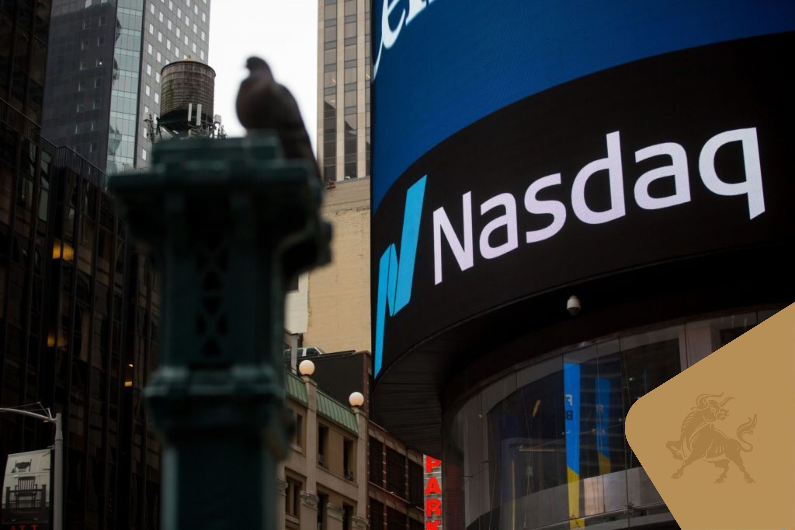 Moneyweb: Is the Nasdaq poised for a reversal?